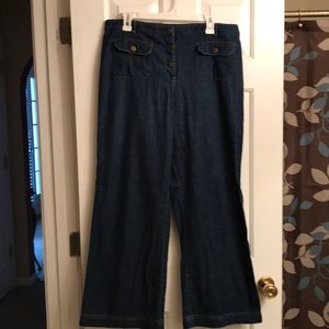 Ann Taylor Loft Trouser Jeans